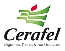 logo Cerafel