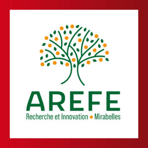 AREFE